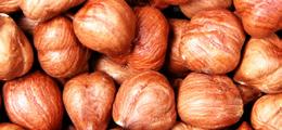 Today, hazelnut production is the major source of employment for people who live in Black Sea Region. Turkey is the most important country of origin for hazelnuts in the world.