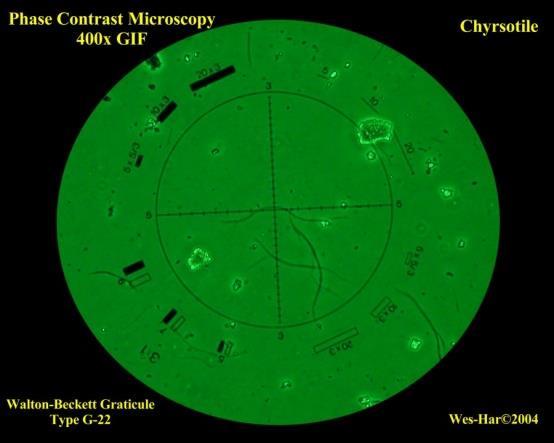 ASBEST LİFLERİ VE BOYUTU Uzunluğu >10µm olanlar