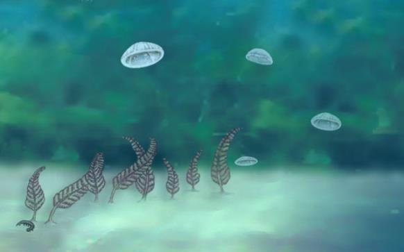 Proterozoyik sonlarında yumuşak gövdeli çok hücreli hayvanlar sığ denizlerde yaşamaya başladı.