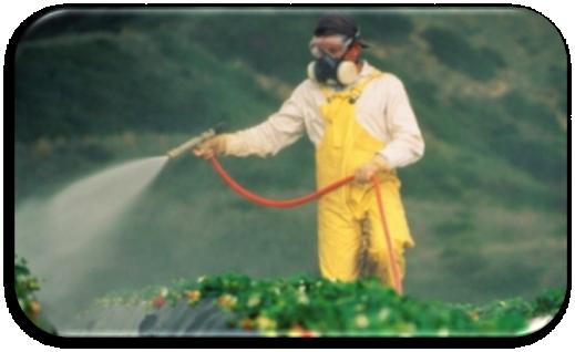 Bitkisel kökenli pestisitler: tütün yaprağı ve nikotin, Pyretrum çiçekleri, Pyretrum ekstresi ve piretrinler, Derris kökü ve rotenoitler; Sadece klorlu hidrokarbonlar ve
