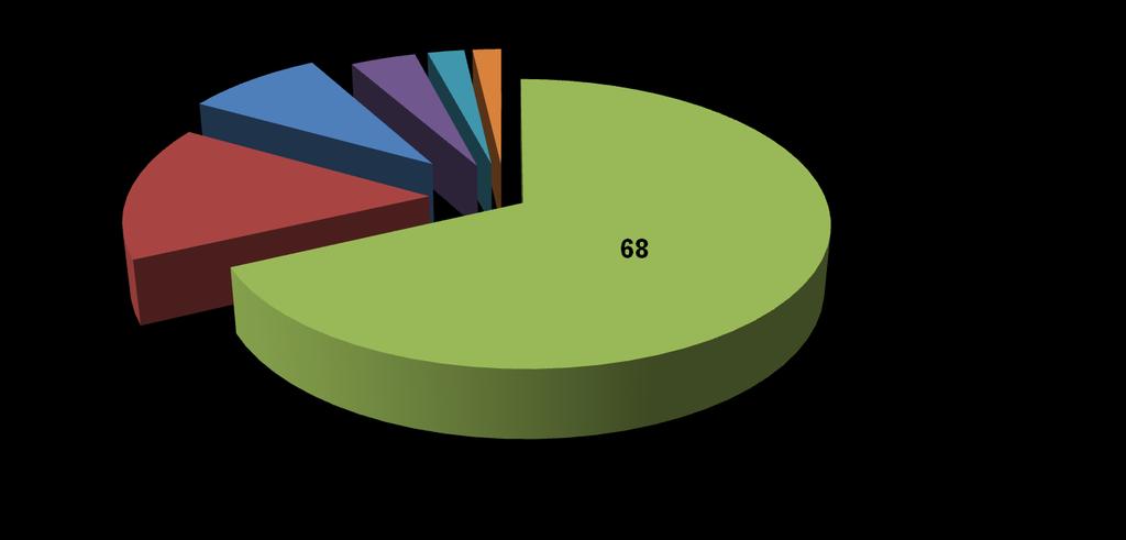 1- Sağlığın Toplumdaki Önceliği BİREYLERİN MUTLULUK KAYNAĞI OLAN DEĞERLER, TÜRKİYE,