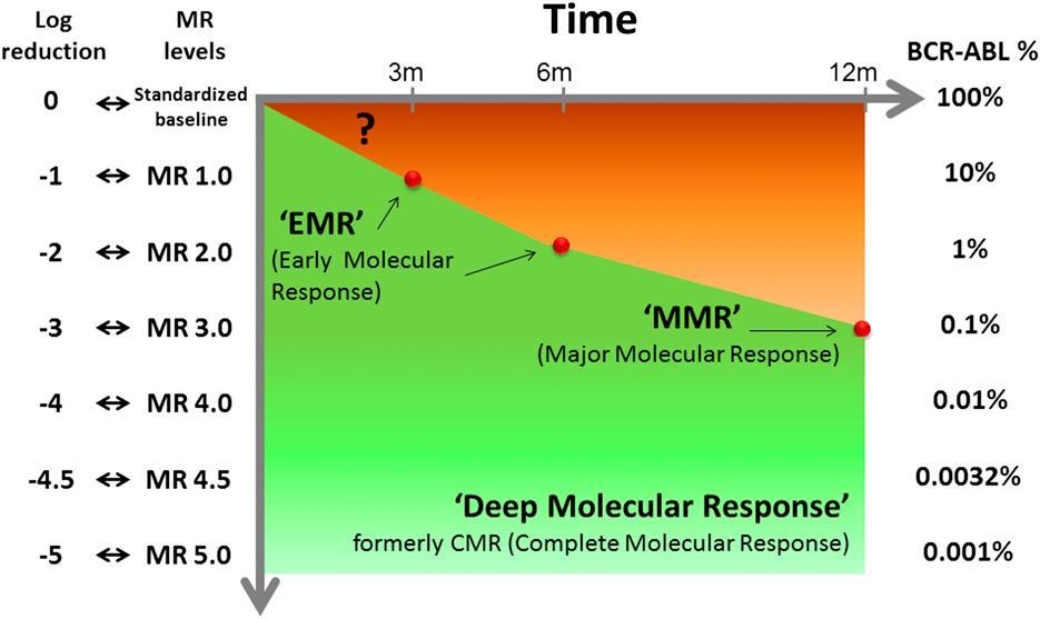 Moleküler Yanıt Erken moleküler yanıt (EMR): PCR ile BCR-ABL (IS) %10 (3. ayda) Major moleküler yanıt (MMR) RQ-PCR ile BCR-ABL mrna (IS) < %0.