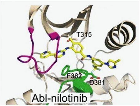 Nilotinib TASIGNA Etki Mekanizması Glu286