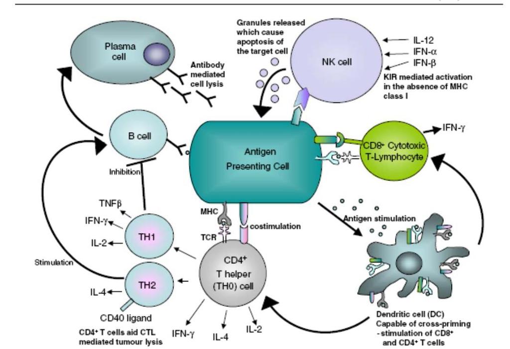 KML ve Aşı Effect of a p210 multipeptide vaccine associated with imatinib or interferon in patients with chronic myeloid leukaemia and persistent residual disease: a multicentre observational trial