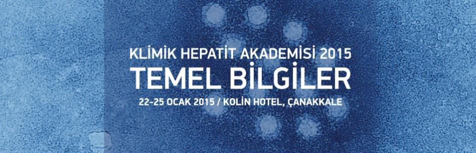 Hepatit B nin Kronikleşme Patogenezi Prof. Dr.