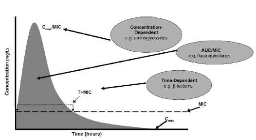 Zamana bağlı etki: Etki, ilaç konsantrasyonu MİK düzeylerinin 2 4 kajna ulaşjğında ve sürekli bu konsantrasyonda kaldığında (sürekli infüzyon) artar Konsantrasyona