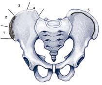 In this classification, if the patient is classified as 1B +, for example, this patient is characterized as having one structural thoracic slope and one that is hyperkyphotic, with the CSVL only