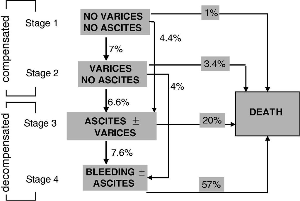 Fig. 4 Sirozda Prognoz; Klinik Evreye Göre Mortalite Riski Derleme: 23.797 hasta içeren 118 çalışmanın sonuçları D Amico et al.