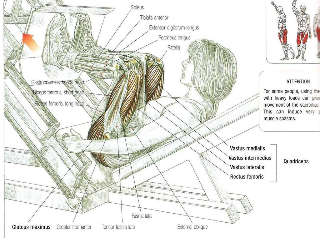 Angled leg presses M.