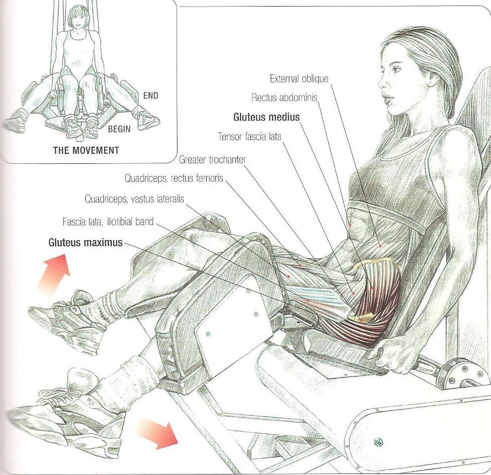 omuzların kalça hizasından geride yaparsan daha çok gluteus medius