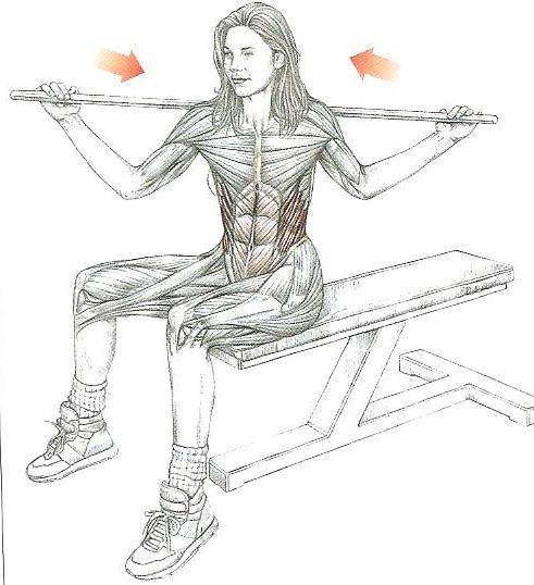 rectus abdominis ve omurganın sol tarafının