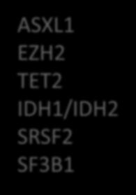 paneli ASXL1 EZH2 TET2 IDH1/IDH2 SRSF2