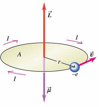 Şekil 1.3.1 Çekideğin etafında yaıçaplı yöüngede ϑ hızıyla haeket eden elekton [43] Elekton çekideğin etafında 2π ' lik yani daieel yöüngenin çevei kada yolu T (peiyot) zamanında dolanmaktadı.