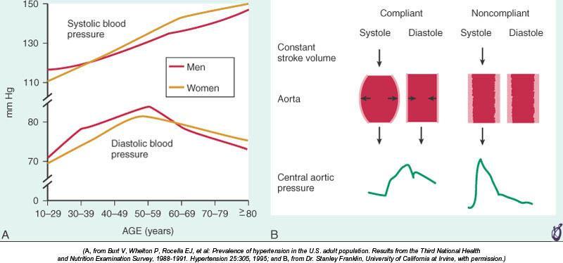 Hipertansiyon: Yaşla ilişkisi 50 yaşından sonra sistolik hipertansiyon ön plana geçer; diyastolik kan