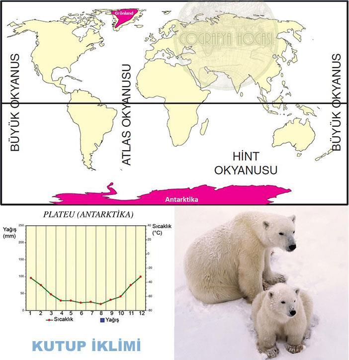 2- Kutup İklimi: 70 ve 90 enlemleri arasında yer alır. Sıcaklık ortalaması yıl boyunca 0 C nin çok altındadır. Buzullarla kaplı durumdadır. Toprak oluşumuna rastlanmaz.