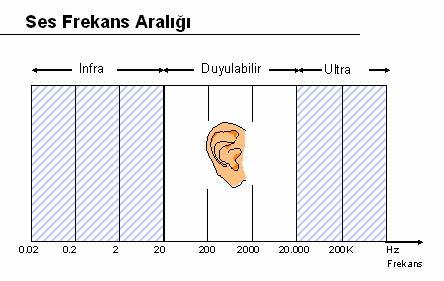 İNSAN KULAĞI 20 Hz ile20.000 Hz arasındaki sesleri algılayabilir.