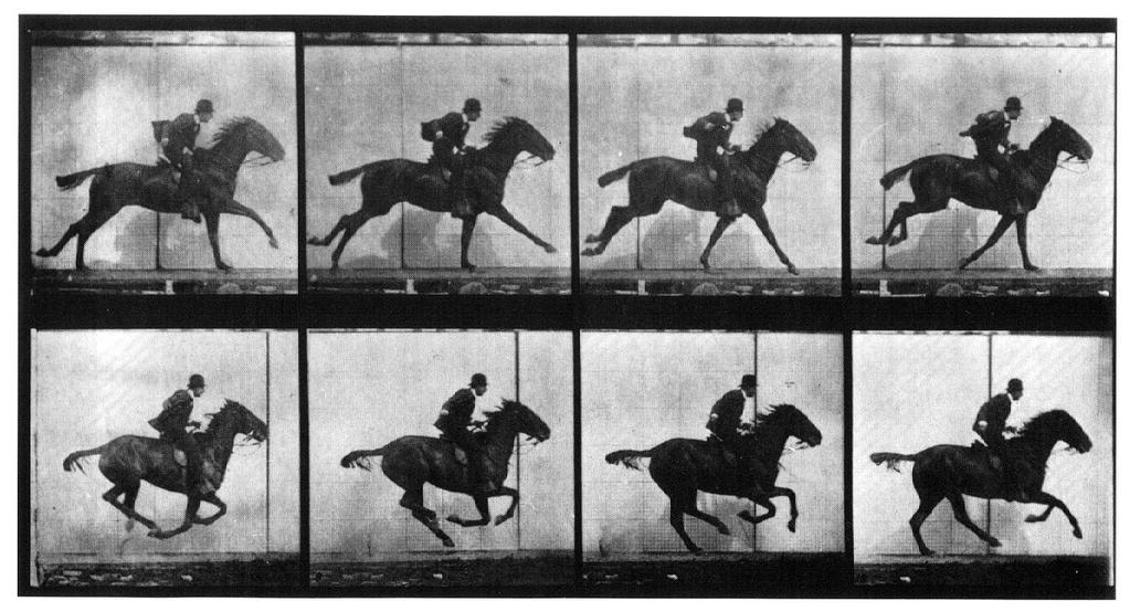 Muybridge nin amacı hareket halindeki nesnelerin durağan anlarını dondurarak kaydetmekti (Kılıç, 2008: 192-193).