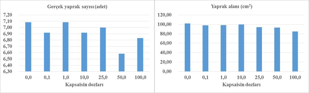 Şekil 4.6. Kapsaisin dozlarının gerçek yaprak sayısı ve yaprak alanı üzerine etkisi.