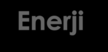 q= ham enerjinin metabolik enerjiye dönüşüm oranı: 1. Yemin Sindirilme Derecesi: S. derecesini etkileyen tüm faktörler yemin ME değerini de etkiler 2.