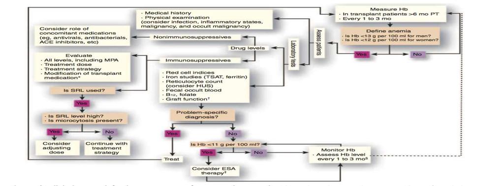 Post Tx Anemiye Klinik Yaklasım Tx Hastaları Anemi Açısından