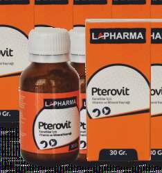 Lacromin Chock Vitamin - Mineral - Aminoasit Kombinasyonu Kullanım Amacı: Kümes hayvanlarında ve buzağılarda vitamin, mineral, amino asit ihtiyaçlarında ve bağışıklık sistemlerinin güçlendirilmesi