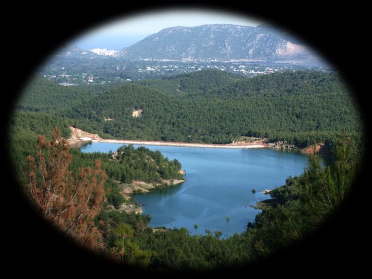 Orman Fonksiyonlarının Belirlenmesinde Kriter ve Göstergeler 3.