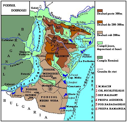 verzi. În mare măsură, sedimentele calcaroase conţin urme ale vieţuitoarelor jurasice. În Dealul Băroi, pe partea vestică, în vechea carieră, mai pot fi găsite încă fosile jurasice.