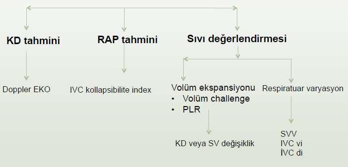 Hemodinamik Değerlendirme Sağ