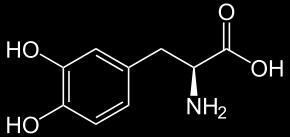 metiyonin ile metilasyon) Norepinefrin