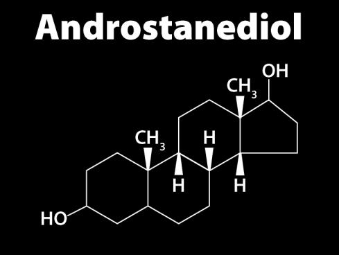 Aromataz 3β-Hidroksisteroid