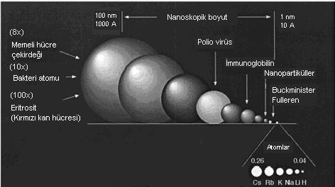 nanopartiküller ve nano cihazlar; quantum dotlar, nano kabuklar, nano küreler, metal nanopartiküller, paramanyetik nanopartiküller ve karbon nanotüplerdir.