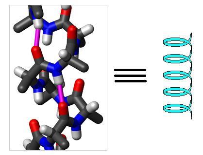 Besin maddelerinde hücresel protein sentezi için gerekli yapı taşlarını oluşturan, organik ve inorganik birçok maddenin taşınmasında rol oynayan, canlılar için yaşamsal reaksiyonlarda önem taşıyan