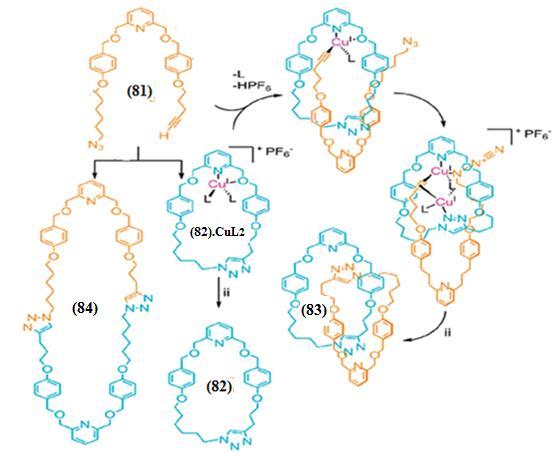 (i) [Cu(C 3 C) 4 ](PF 6 ), C 2 4 Cl 2, 80 C (ii) EDTA, 3 (aq). (L= C 3 C, alkin, azit, ya da diğer molekülden gelen donor atom) Şekil 2.37.