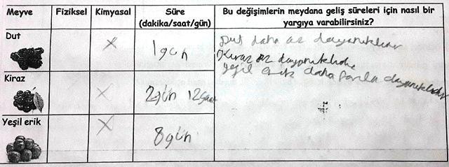 Tablo 4.23: KAT form 1'deki 4 numaralı sorunun ikinci kısmının analizinden elde edilen bulgular. Soru: Metin in annesi, mutfak masasına yarımşar kilogram dut, kiraz ve yeşil erik koyuyor.