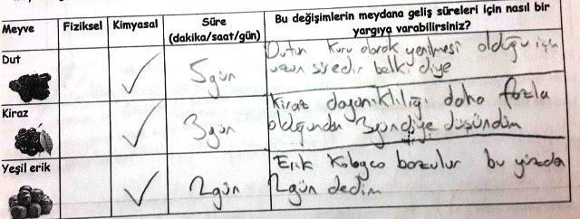 Bilimsel Açıdan Kabul Edilemez: Verilen meyvelerin bozulması için kabul edilemez süreler yazanlar, bu kategoride değerlendirilmiştir. Bu kategoriye örnek olarak Ö5 in ön test cevabı, Şekil 4.