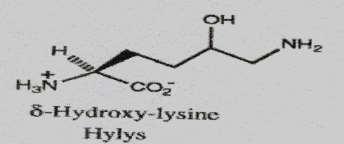 (enzim=lizil hidroksilaz, kofaktörler=