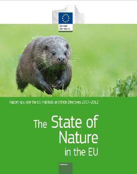 Madde 11 Madde 17 İzleme ve Raporlama Doğal habitatların ve türlerin koruma seviyesi/durumunun gözetimi Amaç: Koruma Tedbirleri ve bu önlemlerin koruma durumuna etkisinin izlenmesi ve raporlanması