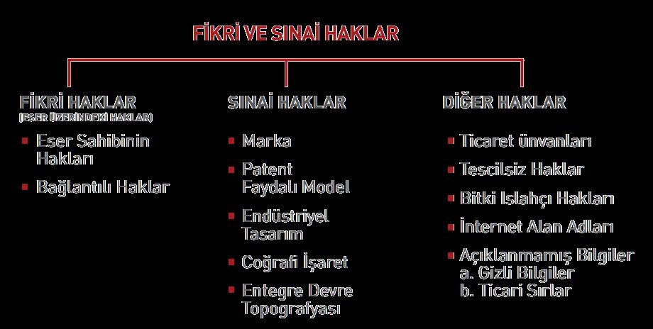 -3- Fikri ve