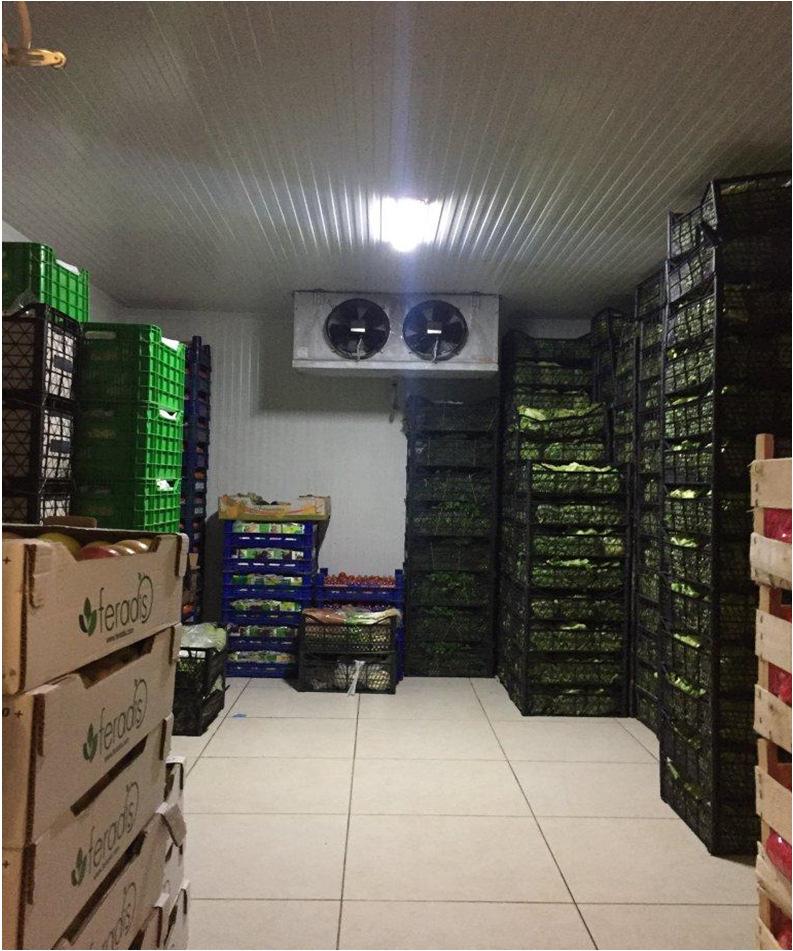 Oda Aydınlatma Sistemi Cold storage Room temperature range -5 C/+5 C