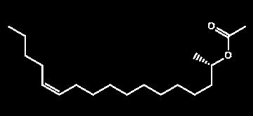 Acetoxy-12-heptadecene Pheromones