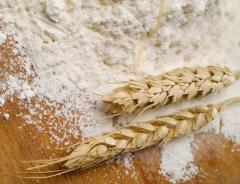 nişasta tiplerinin farklı jelleşme özellikleri vardır. Mısır, buğday, pirinç vb.