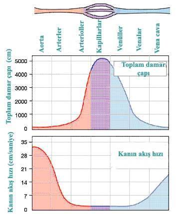 akan kan miktarını