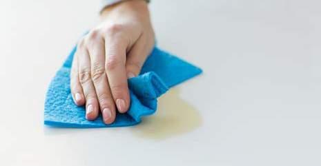 Yüzey Temizleyiciler Surface Cleaner Çamaşır Yumuşatıcı Laundry Softener Gül