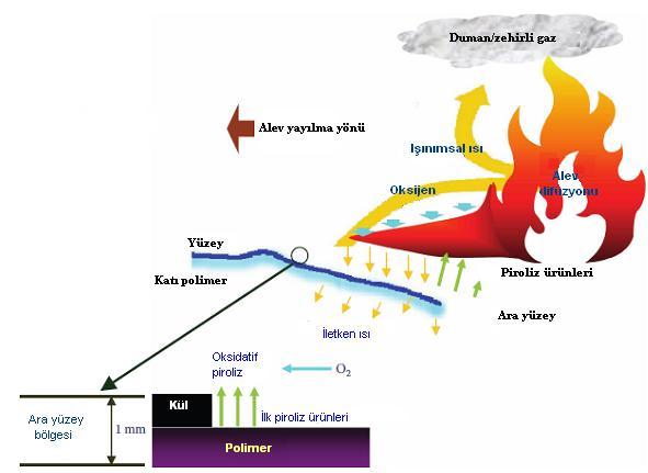 Şekil 3.4 Yanan polimerin yanma basamakları [35] Çinko Boratlar genelde yoğunlaşmış faz alev geciktiricileridir.