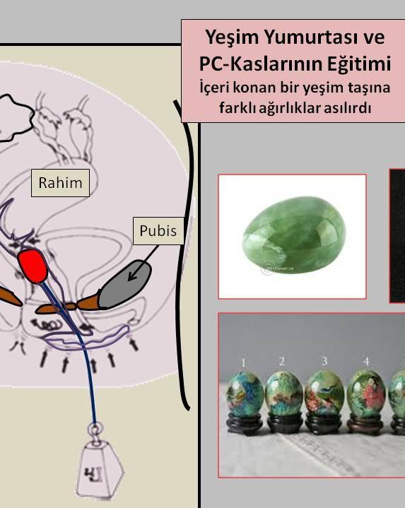 50 Batılıların 1940 larda modern tıp dahilinde önemi anlayacakları PC- Kas eğitimi, Tantrik kültürde de çok uzun bir dönem, yaklaşık 2000 yıl boyunca Hindistan ve çevresinde kullanıldı.