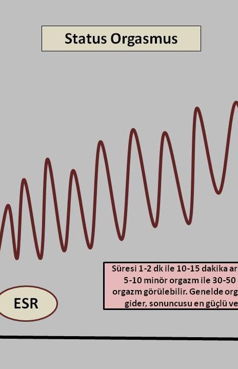 67 Status orgasmus, art arda gelişen ve bileşke orgazmlarının devamından oluşan, 1 dakikadan başlayıp 10-15 dakikaya