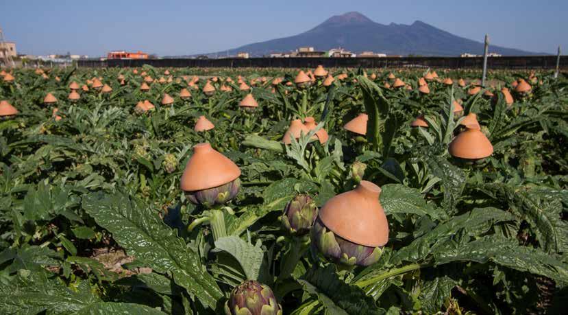 İtalya, tarımsal gıda ürünlerinde Avrupa Birliği (AB) düzeyinde tescilli en fazla menşe adı ve mahreç işareti bulunan Avrupa ülkesidir.