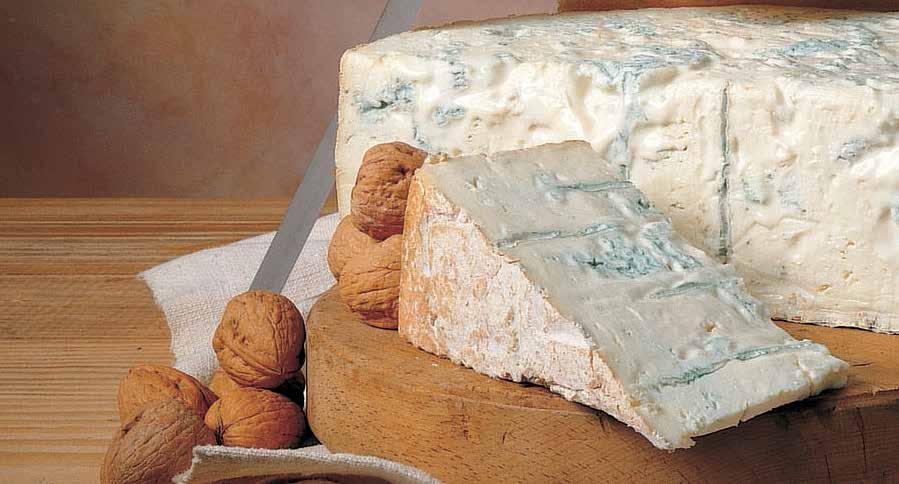 GORGONZOLA DOP Il Gorgonzola DOP è un formaggio a pasta molle con presenza di venature blu e verdastre, dovute al processo di erborinatura, prodotto con latte vaccino intero pastorizzato proveniente