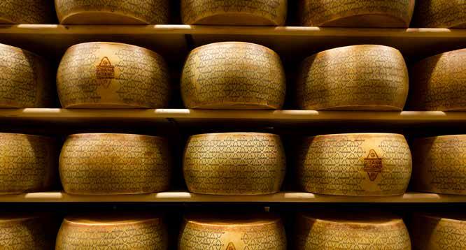 GRANA PADANO DOP Il Grana Padano DOP è un formaggio a pasta dura e finemente granulosa, prodotto con latte vaccino crudo, proveniente da vacche munte due volte al giorno e alimentate con foraggi