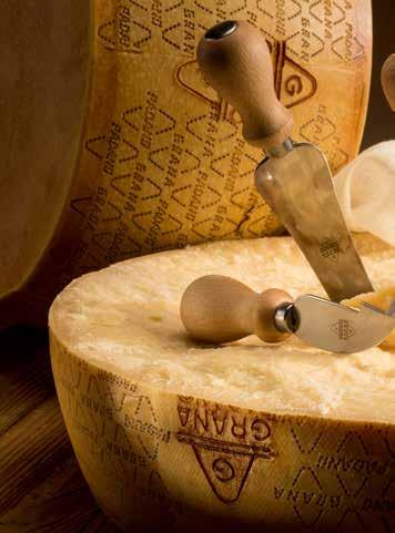 Gastronomia Le caratteristiche del formaggio Grana Padano DOP lo rendono estremamente versatile.